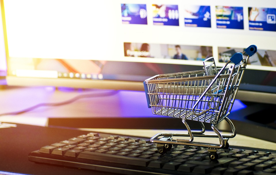 How to Start an E-commerce Business on a Budget